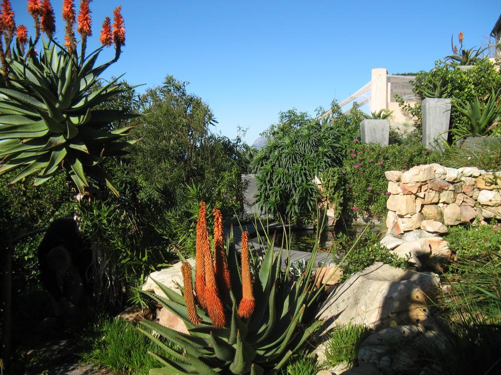 Seaview Apartment In Muizenberg Εξωτερικό φωτογραφία