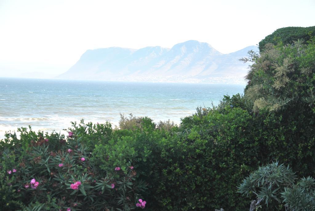 Seaview Apartment In Muizenberg Εξωτερικό φωτογραφία